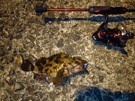 ガシラに救われた